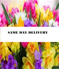 Same day delivery