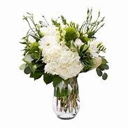 White and green same day delivery florist choice